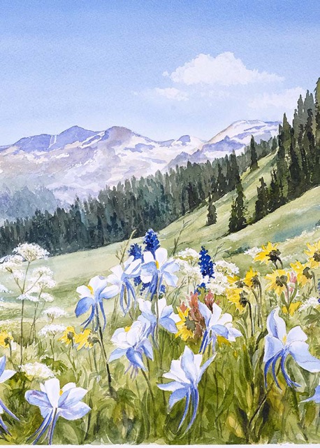 Mt Meadow