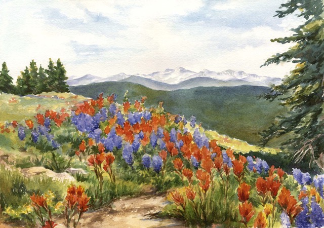 Ridge Wildflowers