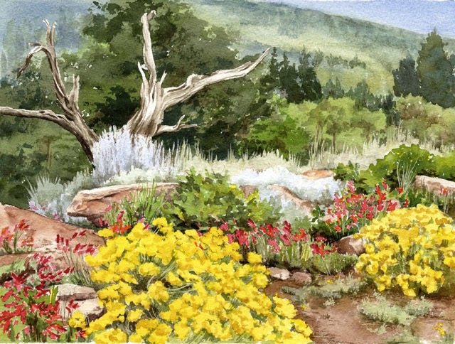 Rock Garden