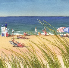 Day on the Beach