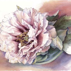 Peonie