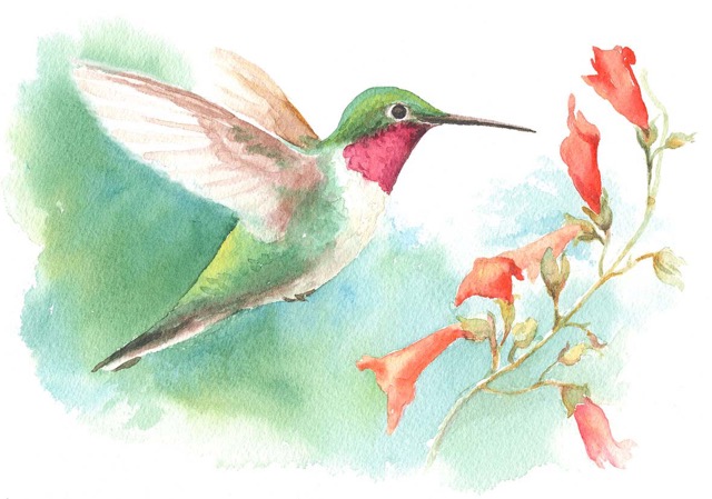 Hummer