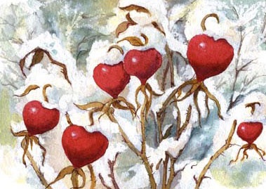 Feb Roses