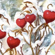 Feb Roses