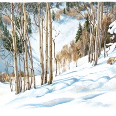 Deep Glade