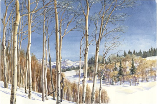 McCoy Park