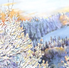 New Snowfall