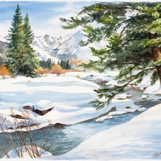 Nordic Trail