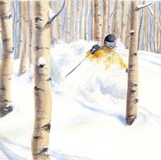 Powder