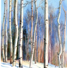 Slopeside Aspens