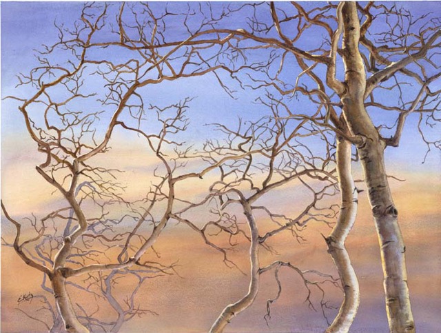 Windy Ridge Aspens