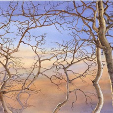 Windy Ridge Aspens