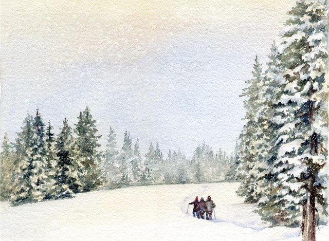 Winter Walk